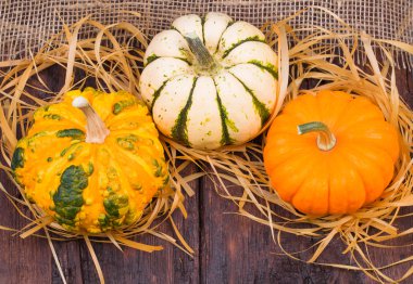 Tahta masadaki balkabakları