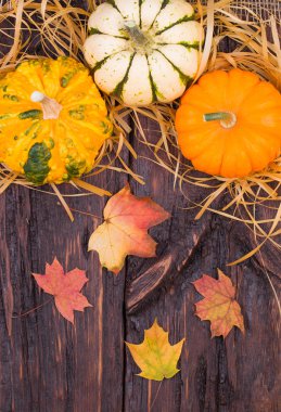 Tahta masadaki balkabakları