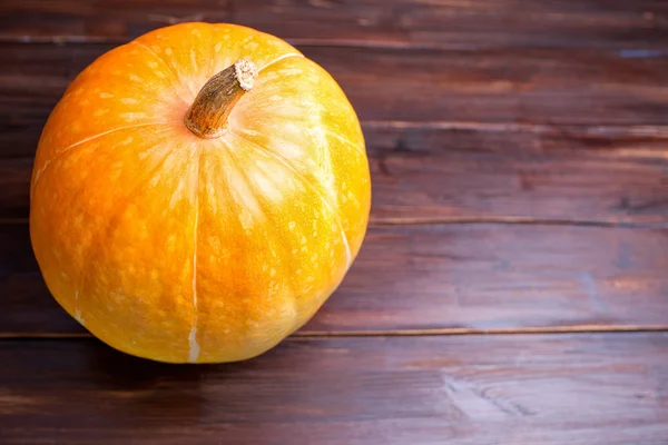 One pumpkin on a wooden table — Stock Photo, Image
