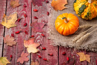 Pumpkins, sonbahar yaprakları ve ahşap bir masa üzerinde bir dogrose