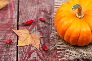 Pumpkins, sonbahar yaprakları ve bir dogrose