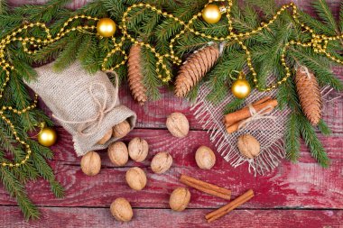 Ceviz, tarçın ve çam kozalakları