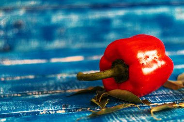 Yanında birkaç yeşil yaprak olan büyük, kırmızı bir dolma biber, ön planda mavi ahşap bir arka planda fotoğraflanmış. Vejetaryen yemeği konsepti