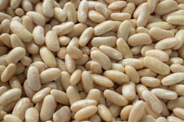 Ev yapımı beyaz fasulye konsepti.