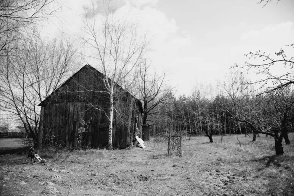 Eine Alte Holzscheune Der Polnischen Landschaft Schwarz Weiß — Stockfoto