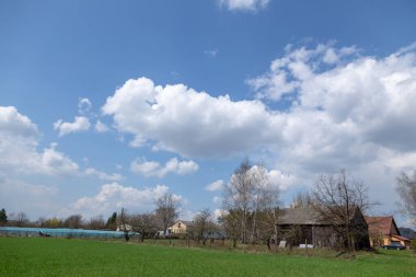 Polonya kırsalında eski bir ahır.