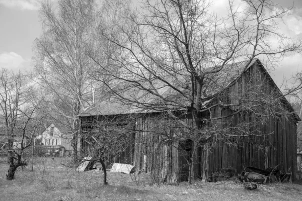 Polonya Kırsalında Eski Bir Ahır Siyah Beyaz — Stok fotoğraf