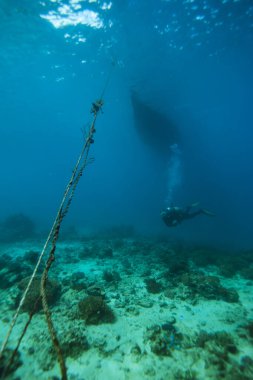 Dalgıç Endonezya botun altında