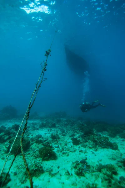 Dalgıç Endonezya botun altında