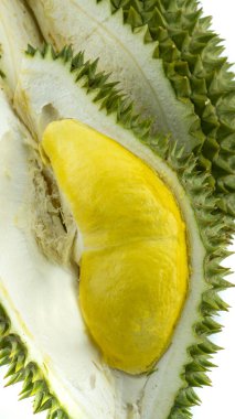 Tropikal meyvelerin tatlı ve egzotik tadı. Doğal yeşil, dikenli. Mon tanga (altın yastık), kan yao gibi birçok durian türü.