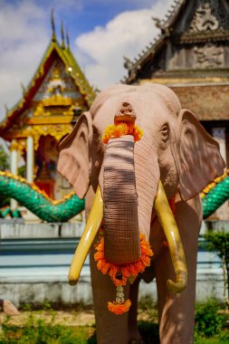Vahşi yaşam fili heykeli çiçekle süslenmiş, tapınağın önünde ya da balkonda. Memeli sanatının heykeli din kültürüne taptığını gösteriyor. Turistler için güzel bir eğlence..