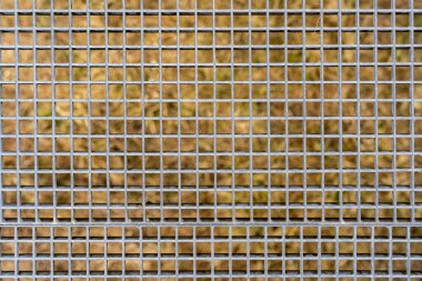 Baharda eski çimlerin arasından görülebilen metal bir kafes..