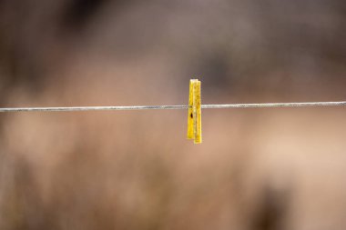 Bahçeyi genişleten ve üzerine farklı renk ve boyutlarda askılar koyan bir ipte arka plan bulanıklaşır.
