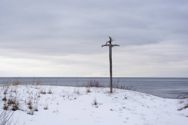 Baltık deniz sahili. Düz bir ufkun olduğu yerde küçük dalgalar ve kışın kıyıda haç gibi görünen sıkışmış ağaçlar var.