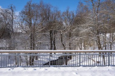 Karlı kış günleri beyaz pofuduk kar, nehir ve ağaçlarla örülü köprü korkulukları. Ve arka planda güzel mavi bir gökyüzü var.