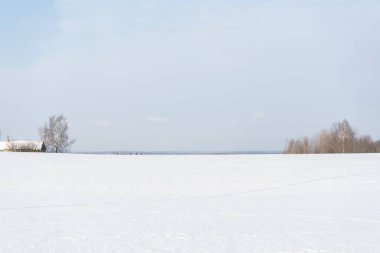 Karlı Letonya manzarası Ormanı ve birkaç metre karla
