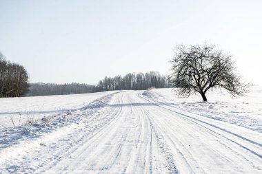 Tarlaların arasından geçen beyaz bir yol ve yanında siyah gövdesiyle bu beyazı süsleyen bir elma ağacı duruyor.
