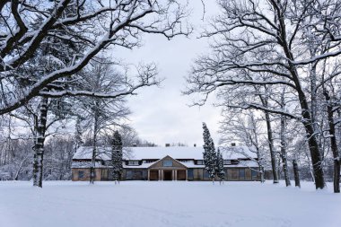 white snow has reached in the park and behind large linden tree trunks there is an old abandoned wooden manor