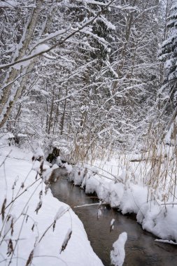 a lot of white fluffy snow has fallen and everything is covered with white but clear radiant water flows in the middle