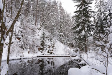In the middle of the forest is a cliff with a reservoir of water pei those white and fluffy in winter form a reflection in the calm water