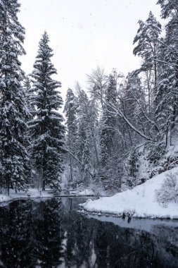 In the middle of the forest is a cliff with a reservoir of water pei those white and fluffy in winter form a reflection in the calm water