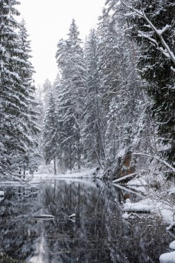 In the middle of the forest is a cliff with a reservoir of water pei those white and fluffy in winter form a reflection in the calm water