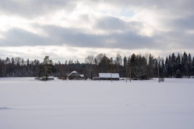 In the middle of a snowy field on a winter day, you can see an old country house near the forest