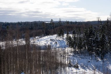 White snowy Latvian landscape in winter where you can see a large field that has reached with deep white fluffy snow and behind it are various trees and above the wood is a blue sky with the sun and white fluff clouds.