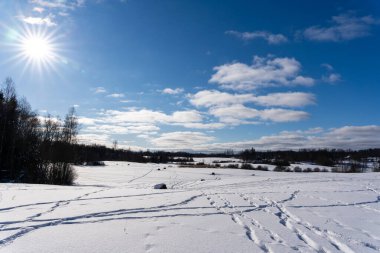 White snowy Latvian landscape in winter where you can see a large field that has reached with deep white fluffy snow and behind it are various trees and above the wood is a blue sky with the sun and white fluff clouds.