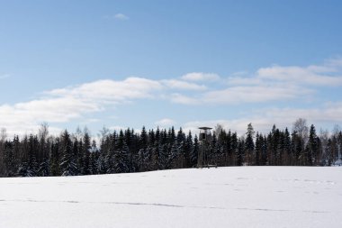 White snowy landscape of Latvia in winter where you can see a large field that has reached with deep white fluffy snow and on it stands a large hunting tower built of wood