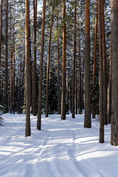 beautiful sunny winter day in Latvia where the asphalt is frozen and there are rails on it where you can see small asphalt stones and snowy