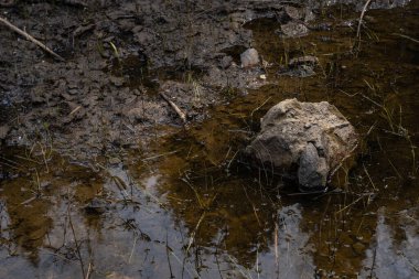 Balık çiftliği göleti su seviyesine indirilir ve bazı ağaç gövdeleri ve taşlarla yatağını görünür hale getirir.
