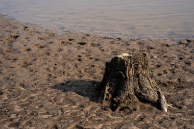Balık çiftliği göleti su seviyesine indirilir ve bazı ağaç gövdeleri ve taşlarla yatağını görünür hale getirir.