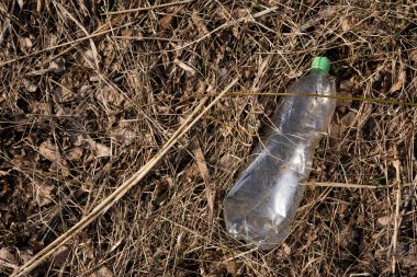 Beş litrelik şeffaf plastik bir şişe kuru bahar çimlerine atılmış.