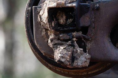 Baharda huş ağaçlarının ve diğer ağaçların yetiştiği bataklıkta küçük bir gölet.