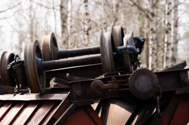 Baharda huş ağaçlarının ve diğer ağaçların yetiştiği bataklıkta küçük bir gölet.