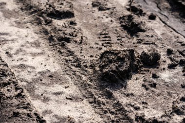 Çamurlu yol güneşte kurumuş ve ilginç bir desen çiziyor.