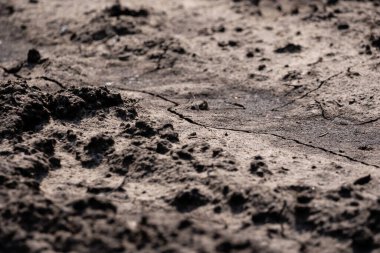 Çamurlu yol güneşte kurumuş ve ilginç bir desen çiziyor.
