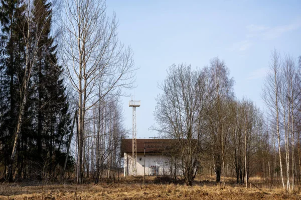 Orman Büyük Bir Elektrik Direği Olan Bir Elektrik Dağıtım Evi — Stok fotoğraf