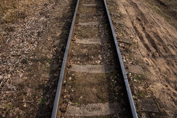 Ferrovia Bitola Estreita Pântano Onde Pequenos Vidoeiros Outras Árvores Crescem — Fotografia de Stock