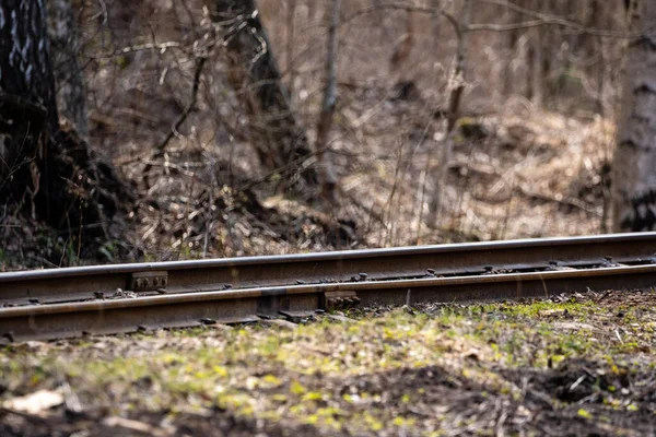 Smalspårig Järnväg Ett Träsk Där Det Finns Metallskenor Och Betongstöd — Stockfoto