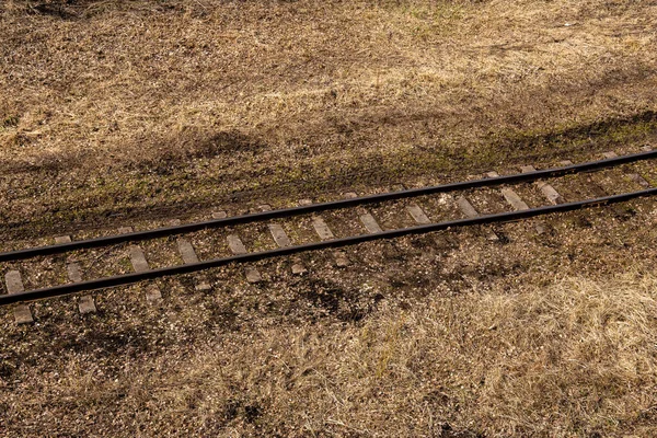 Úzkokolejná Dráha Bažině Kde Jsou Kovové Kolejnice Betonové Podpěry — Stock fotografie