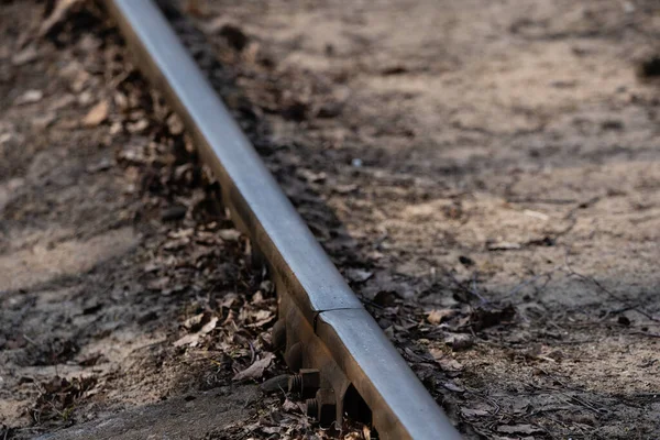 Ferrovia Bitola Estreita Pântano Onde Trilhos Metal Suportes Concreto — Fotografia de Stock