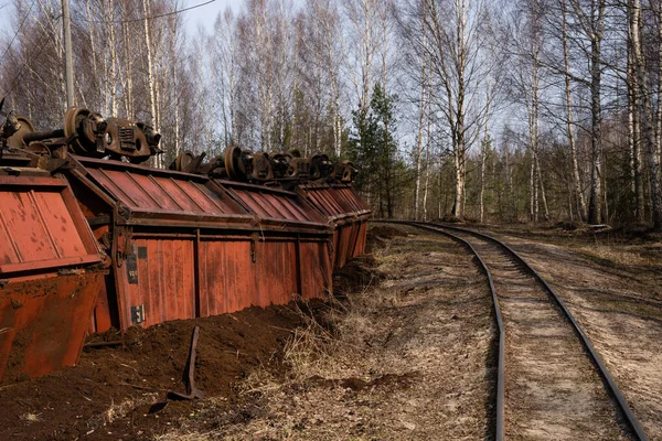 Smalspårig Järnväg Ett Träsk Där Vagn Med Torv Välter — Stockfoto