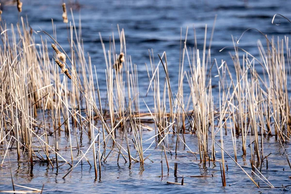 Het Meer Heeft Kleine Golven Donkerblauw Water Zijn Droge Bochten — Stockfoto