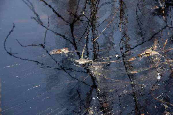 Close Van Donkerblauw Water Met Troebelheid Reflectie Erin — Stockfoto