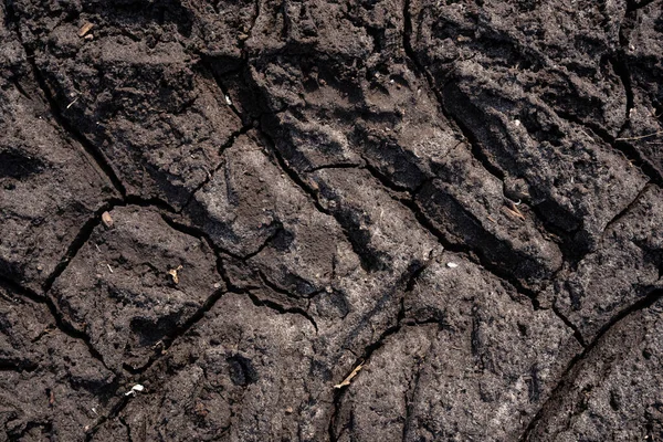 Strada Fangosa Asciutta Sole Gioca Modello Interessante Impronte — Foto Stock