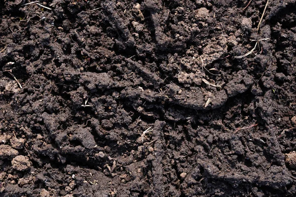 Modderige Weg Droog Zon Speelt Een Interessant Patroon Afdrukken — Stockfoto