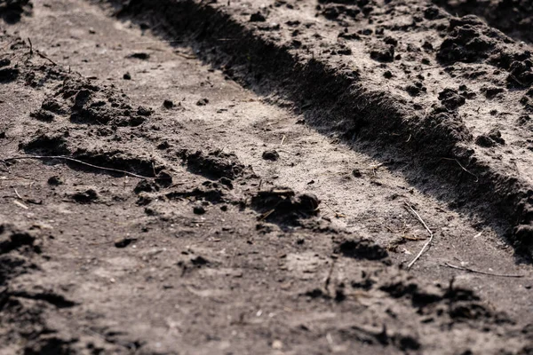 Modderige Weg Droog Zon Speelt Een Interessant Patroon Afdrukken — Stockfoto