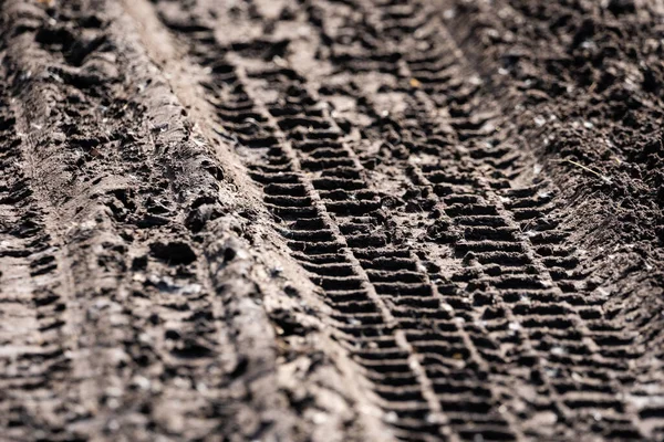 the muddy road is dry in the sun and plays an interesting pattern and imprints